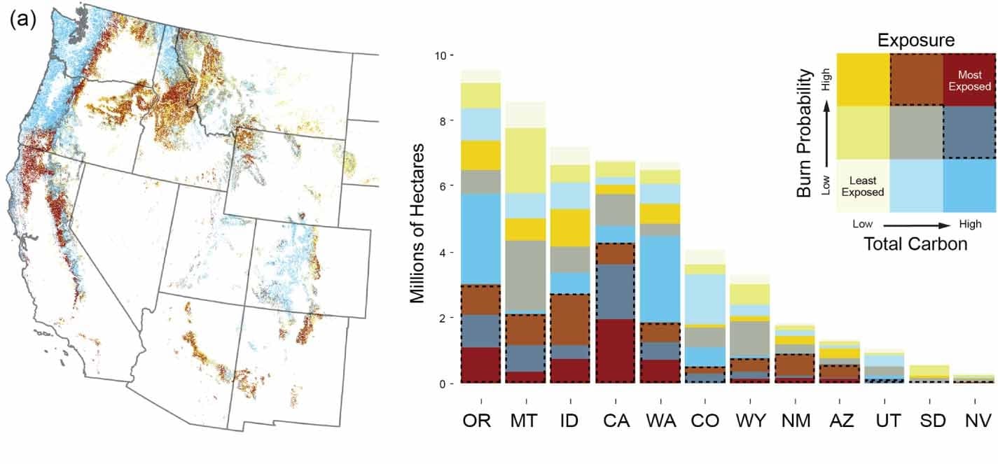 Example bivariate map of exposure to fire and carbon loss