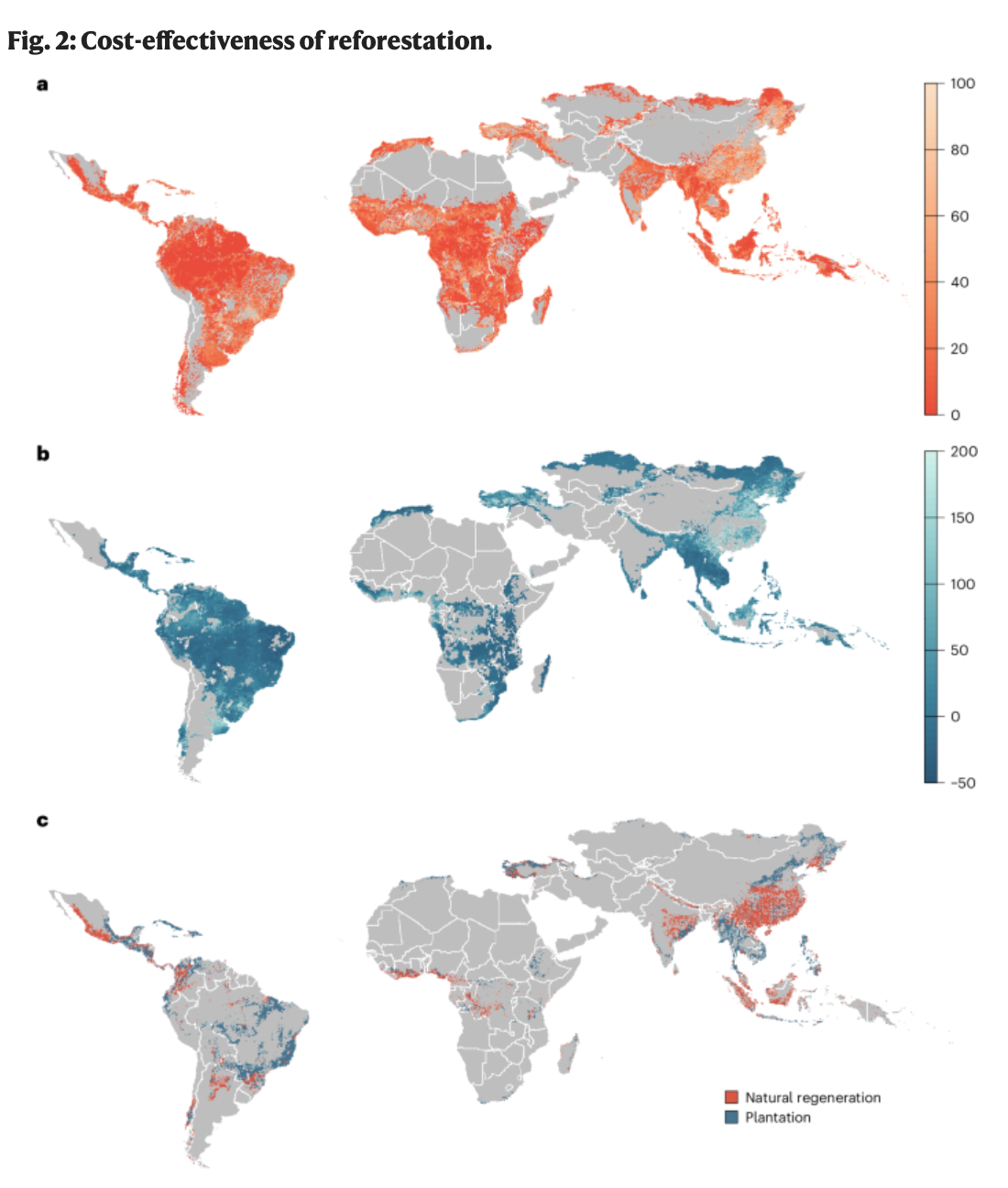 COmparing plantations to natural regeneratio.