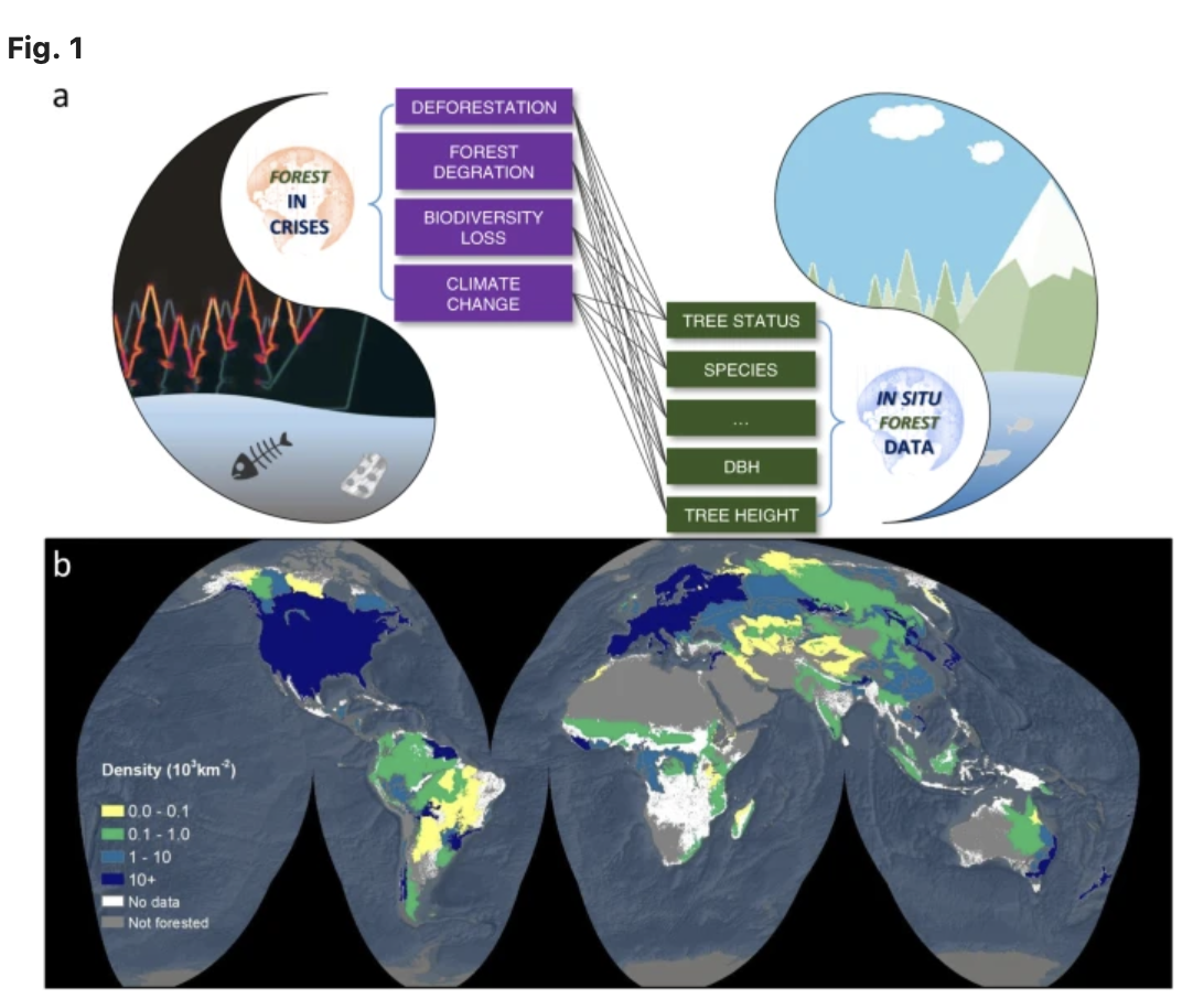 Source: Liang, J., Gamarra, J.G.P. The importance of sharing global forest data in a world of crises. Sci Data 7, 424 (2020). https://doi.org/10.1038/s41597-020-00766-x