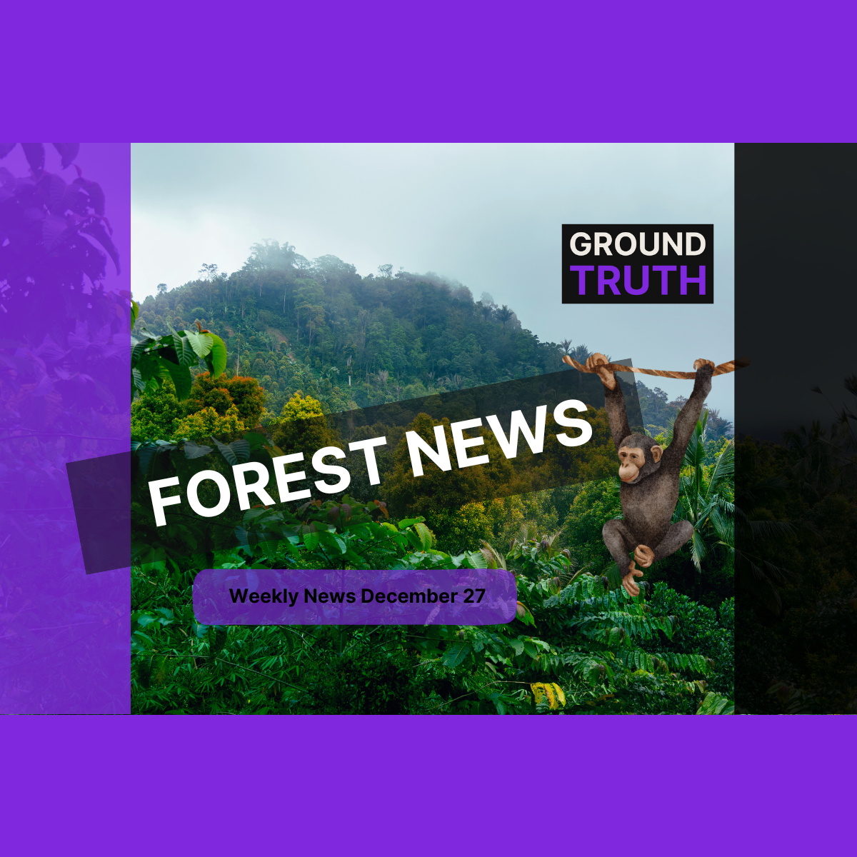 Ground Truth Weekly Forest News December 27