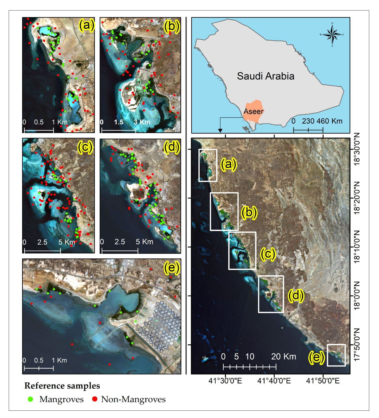 Satellite imagery of mangrove-rich areas. 