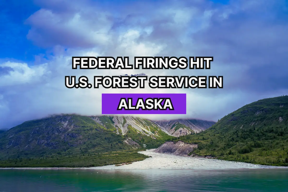 Federal Firings Hit U.S. Forest Service in Alaska