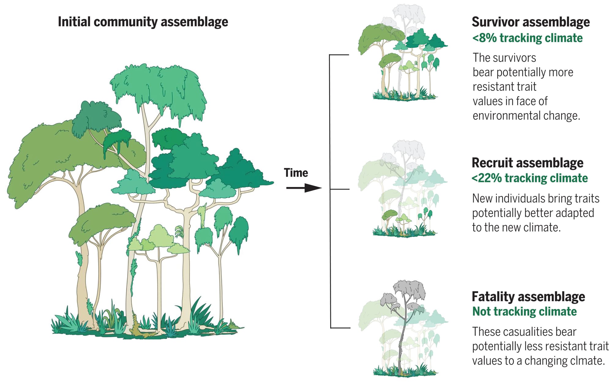 Mechanisms driving changes in community trait composition and climate tracking.