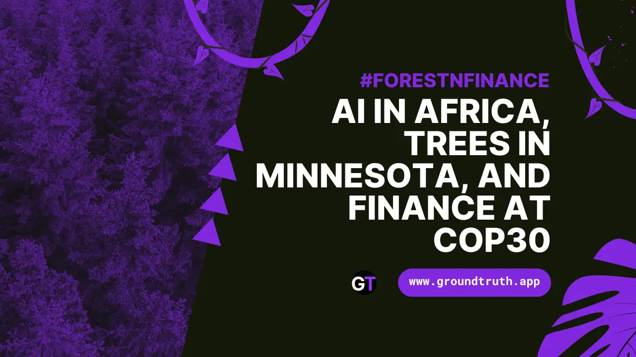 AI in Africa, Trees in Minnesota, and Finance at COP30
