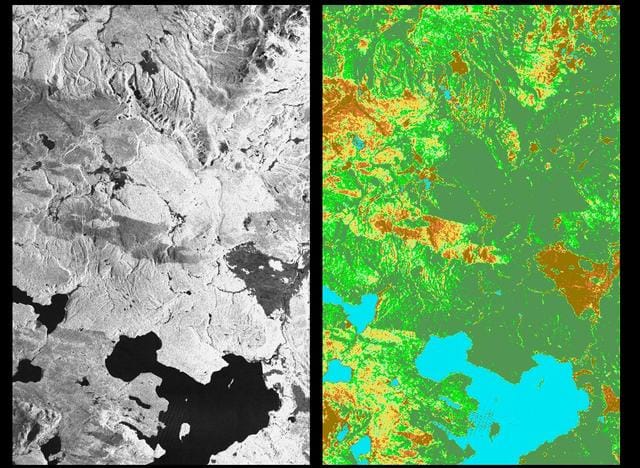 Forest satellite monitoring - Credit: Nasa