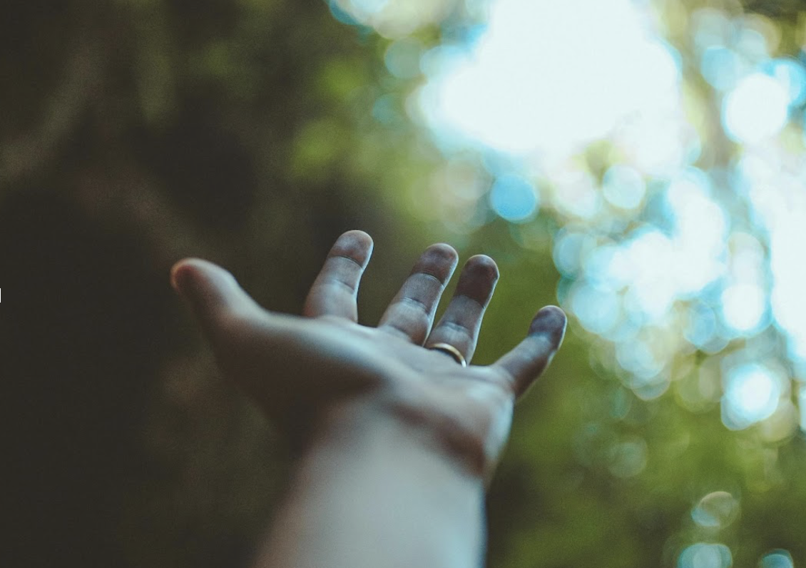 Open hand reaching toward trees