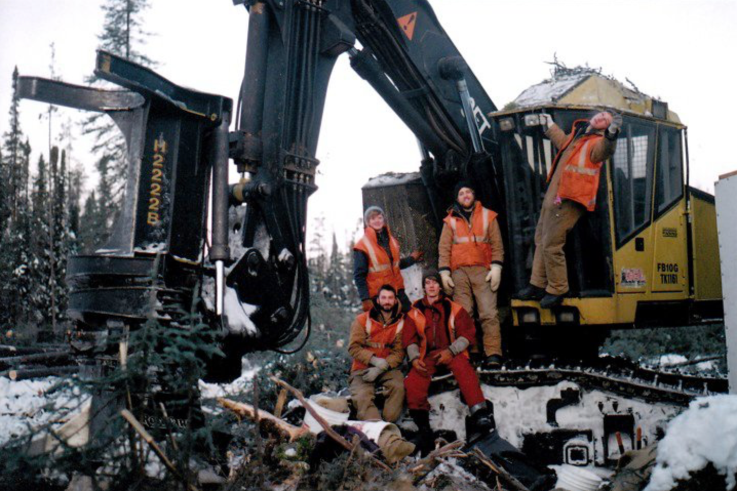 Canadian silviculture workers harvest spruce cones, searchin for wild seed, 2010. Photo courtesy of Chris Harris. 