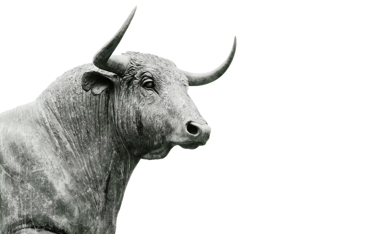 Market bull.