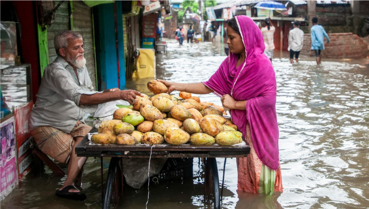 The effects of climate change are very real.