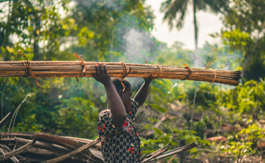 Oil palm labourer, Ghana.