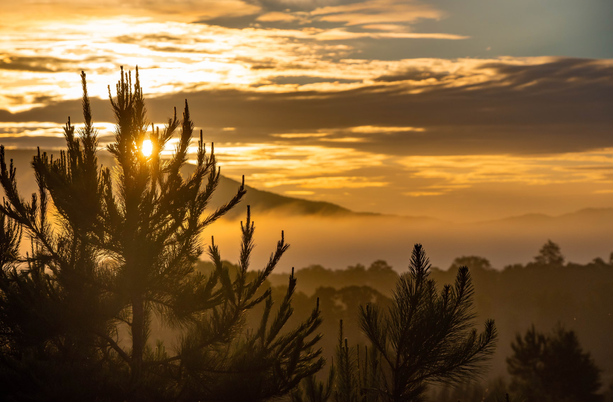 Sunrise in the Appalachian Mountains.