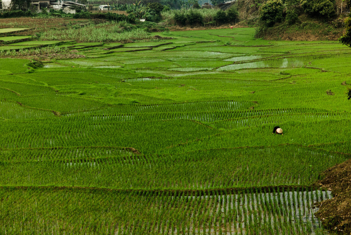 THe natural beauty of Vietnam.