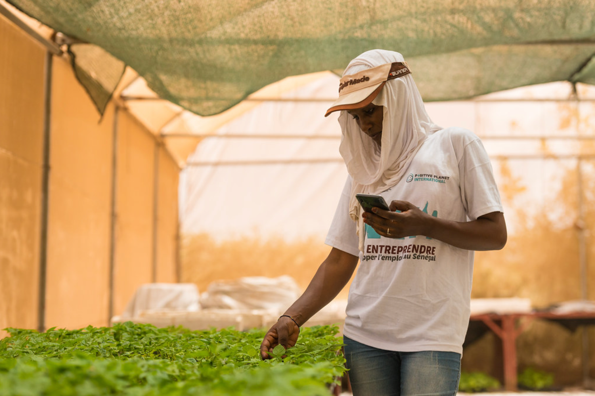 The future of African farming is increasingly digital. 