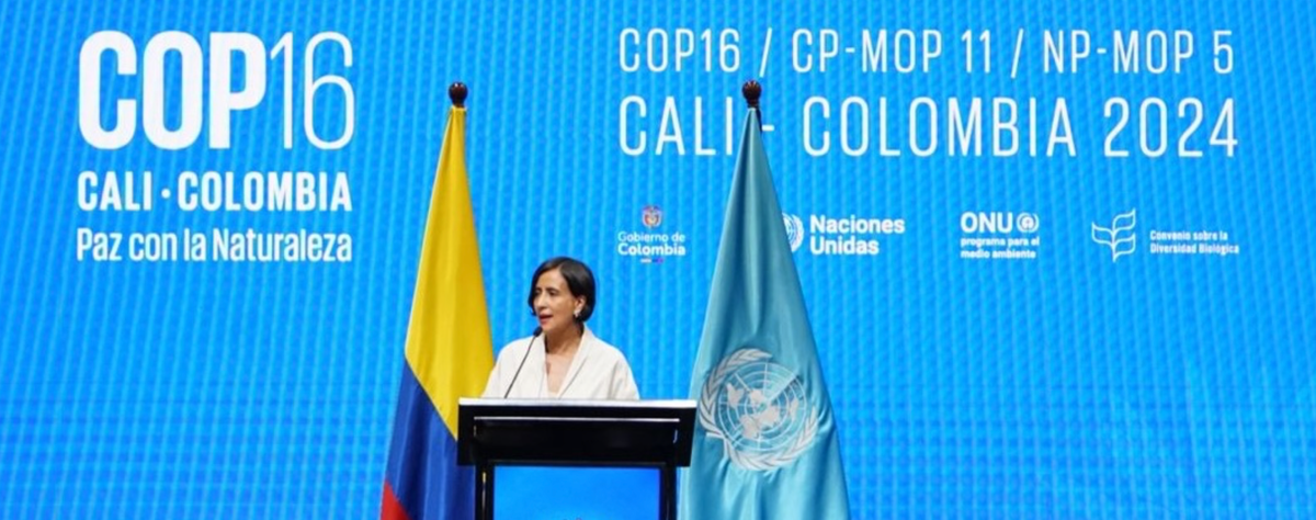 Colombia at COP16