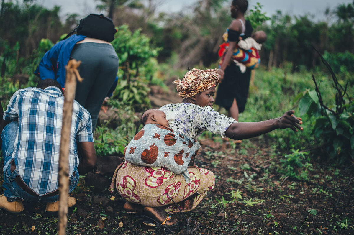 Women farming cassava in Sierra Leone