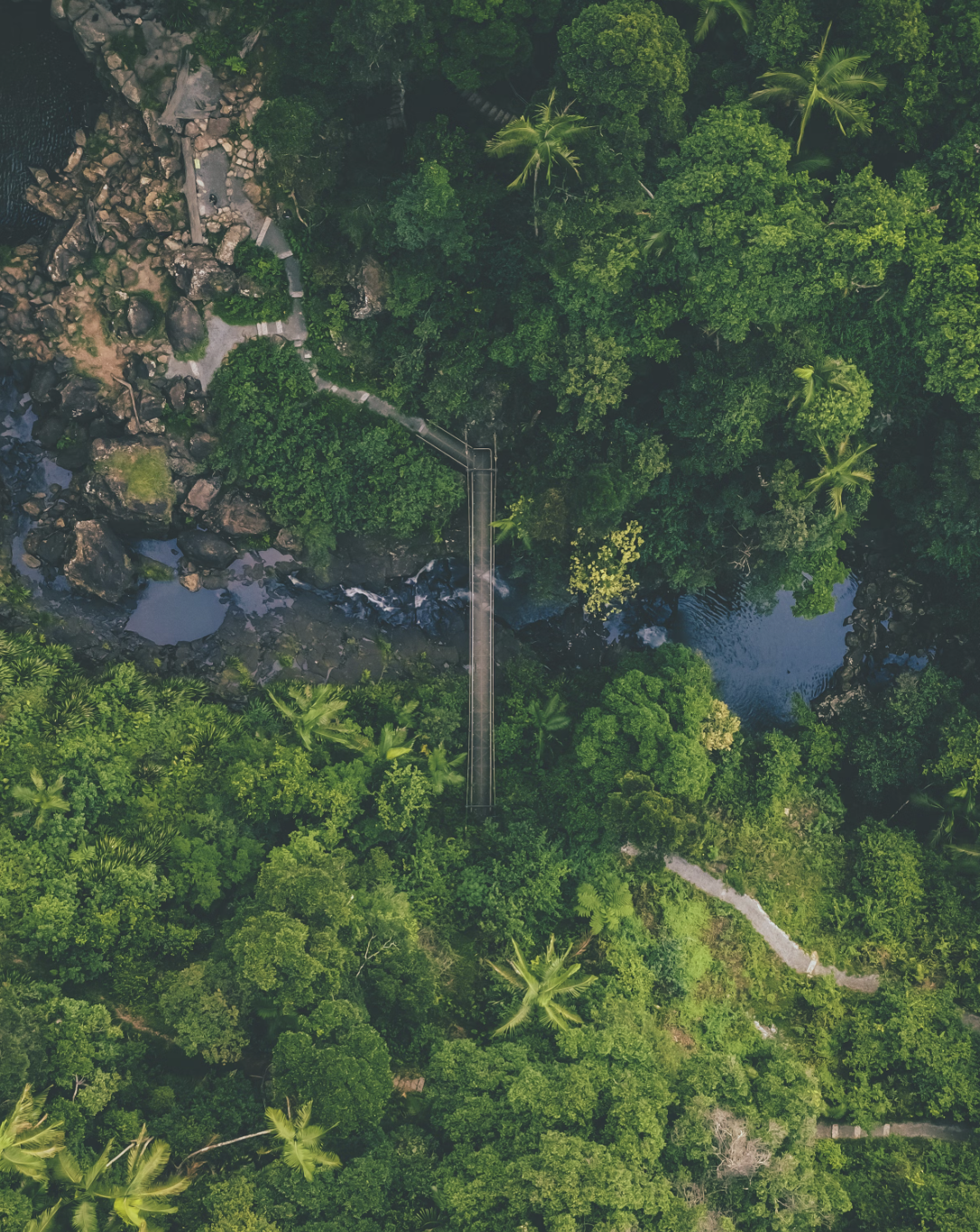 Top down drone shot of bridge over water in Queensland, Australia. 