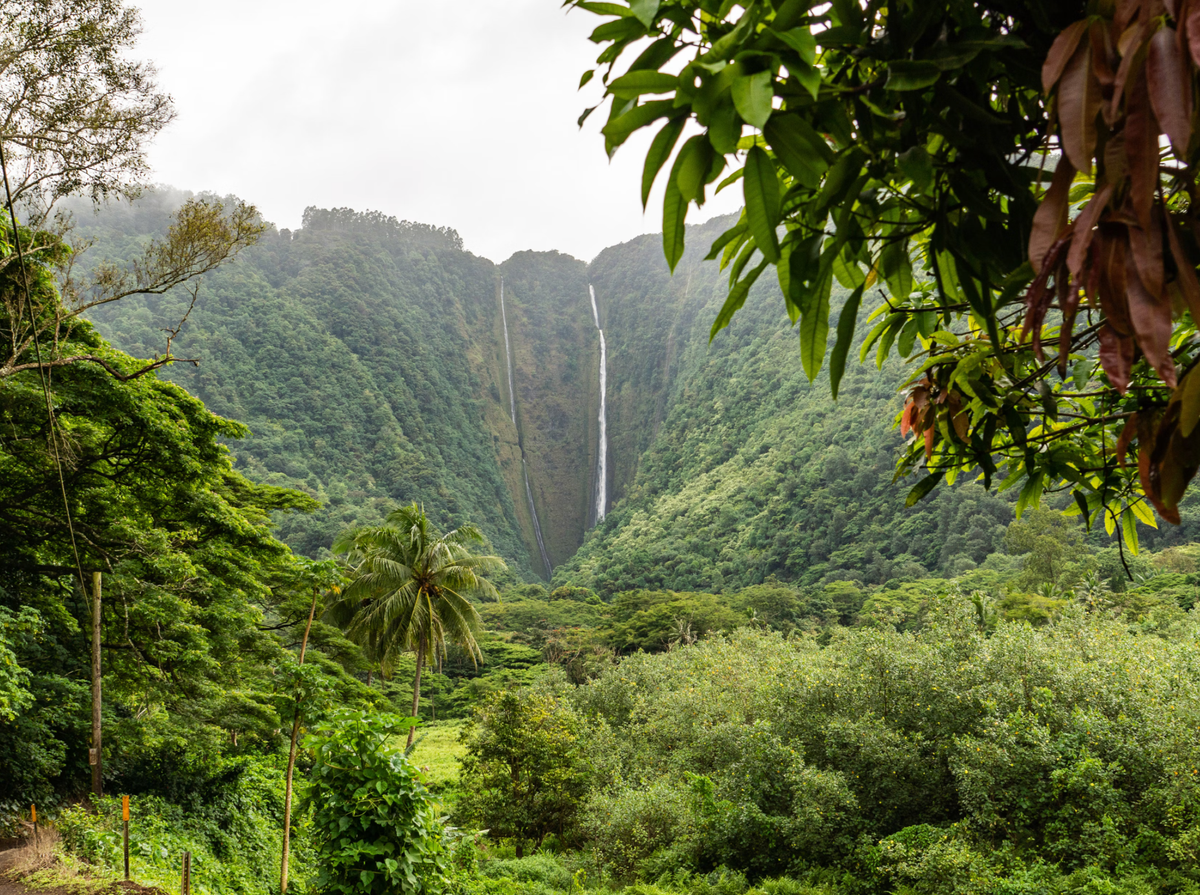 Waipi'o Valley, Big Island, Hawaii