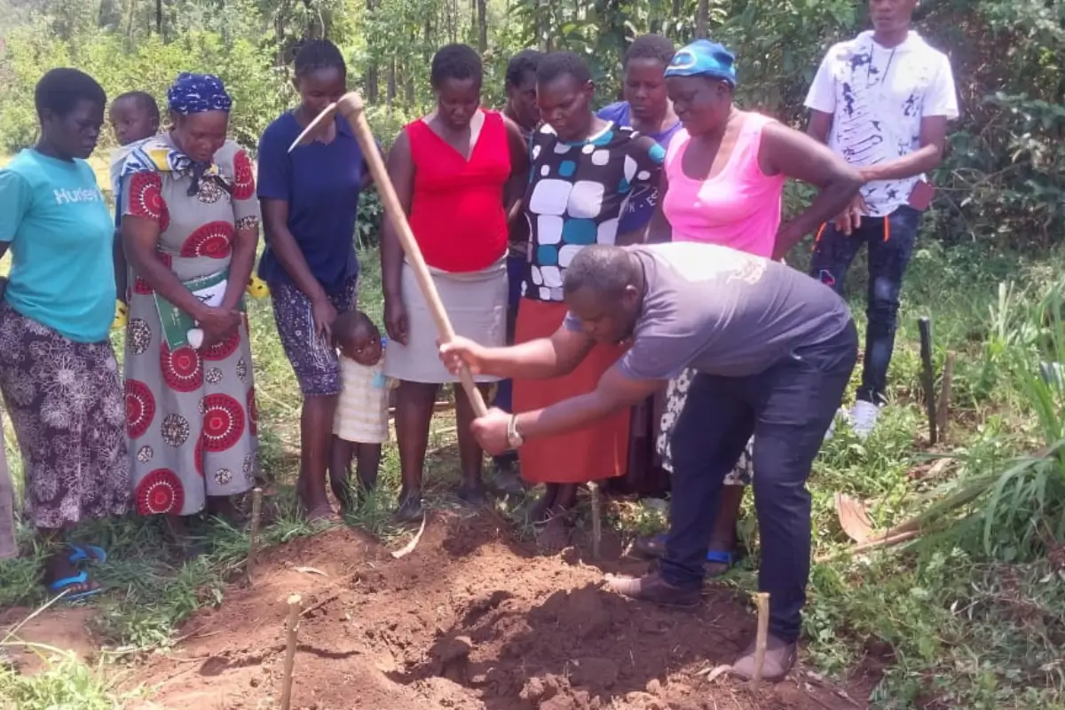 Kenya Agroforestry Project Promises Transparency 🇰🇪