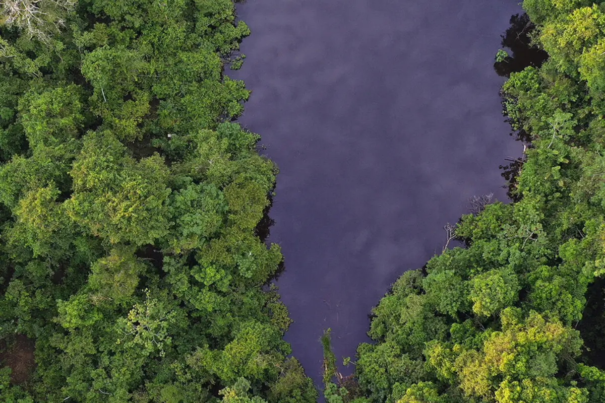 Blackwater oxbow lake in the Peruvian Amazon. 