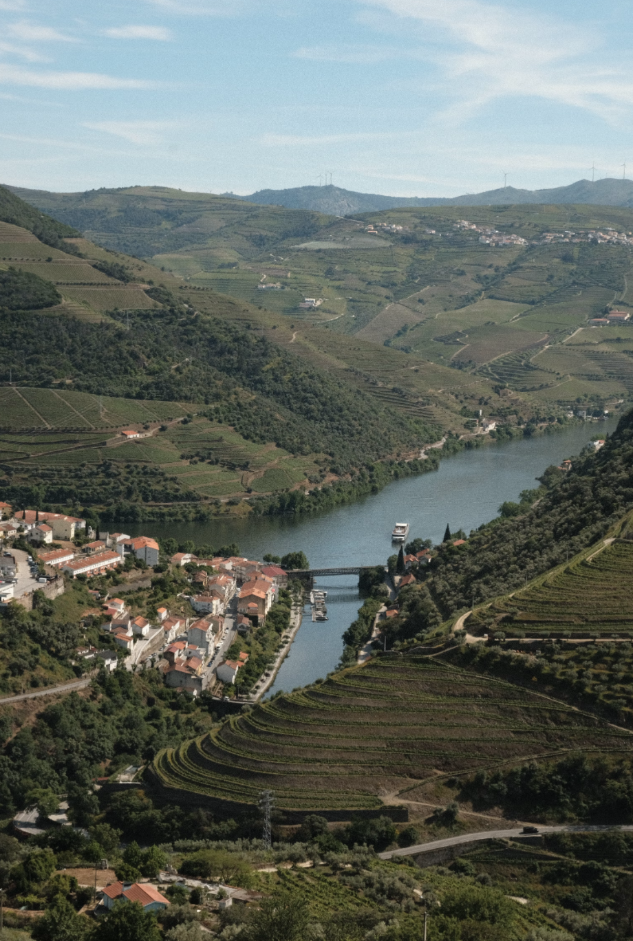 The picturesque Duoro Portugal.