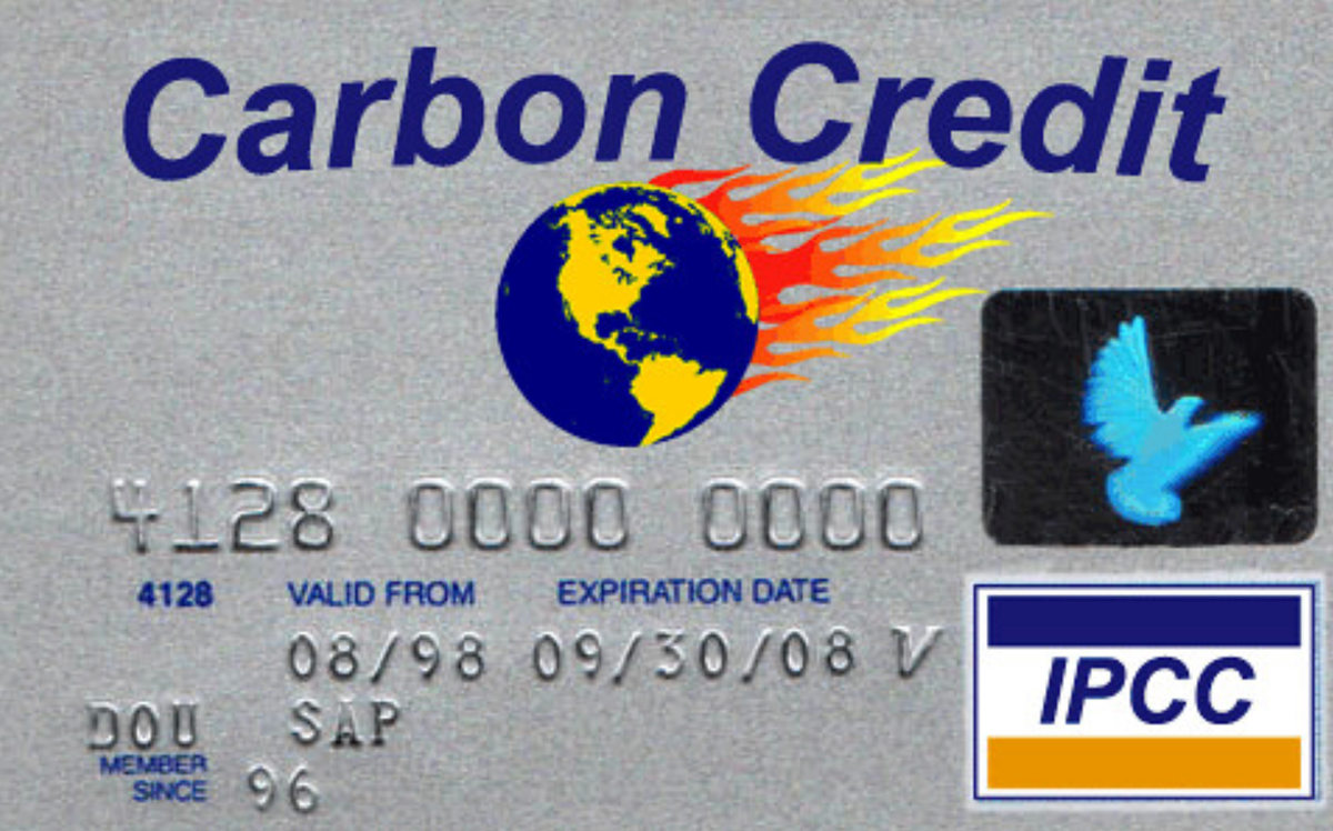 Carbon credit card. 