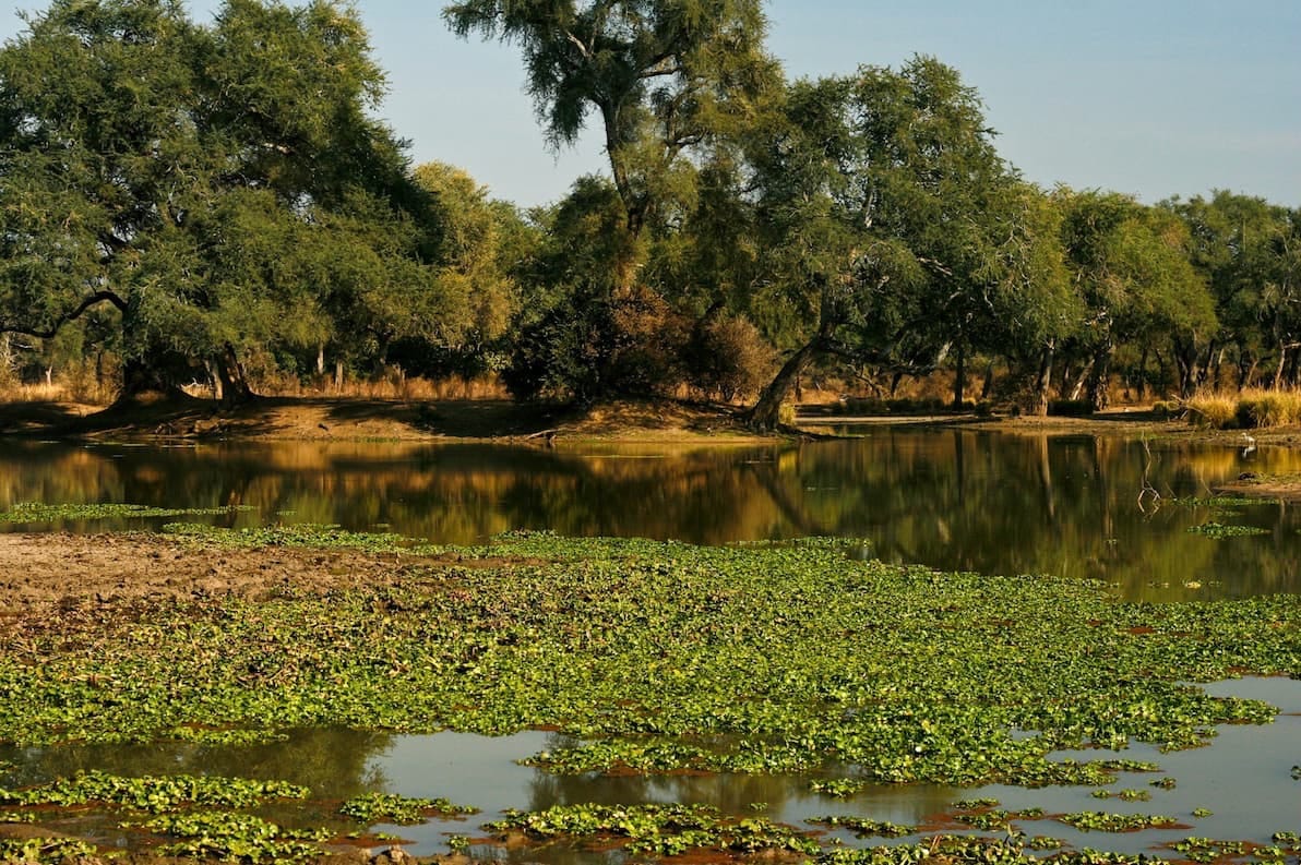 Zimbabwe wetlands. 