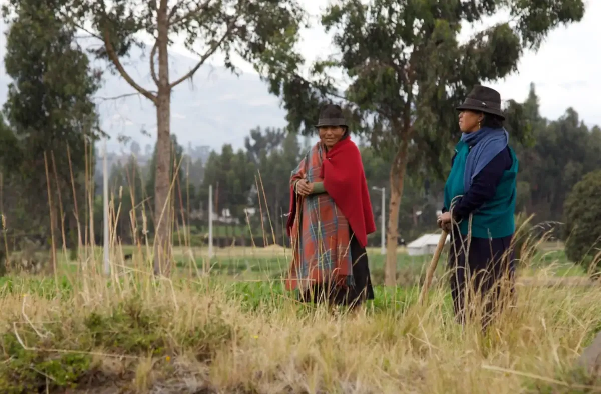 Indigenosu farmers. 