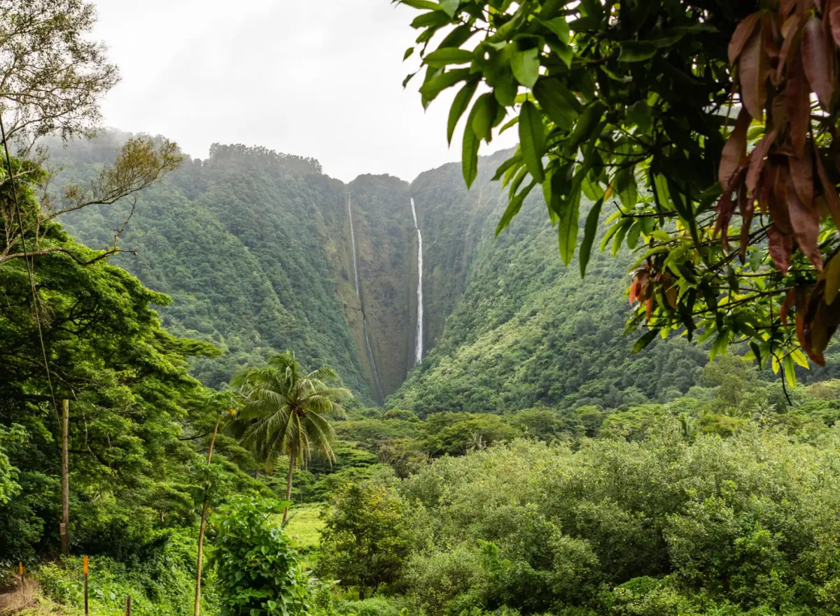 Big Island, Hawaii