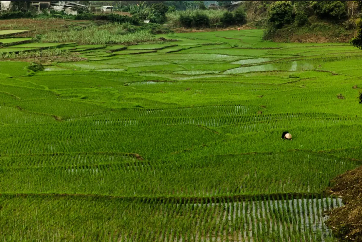 Country side near Hồ Chí Minh trail