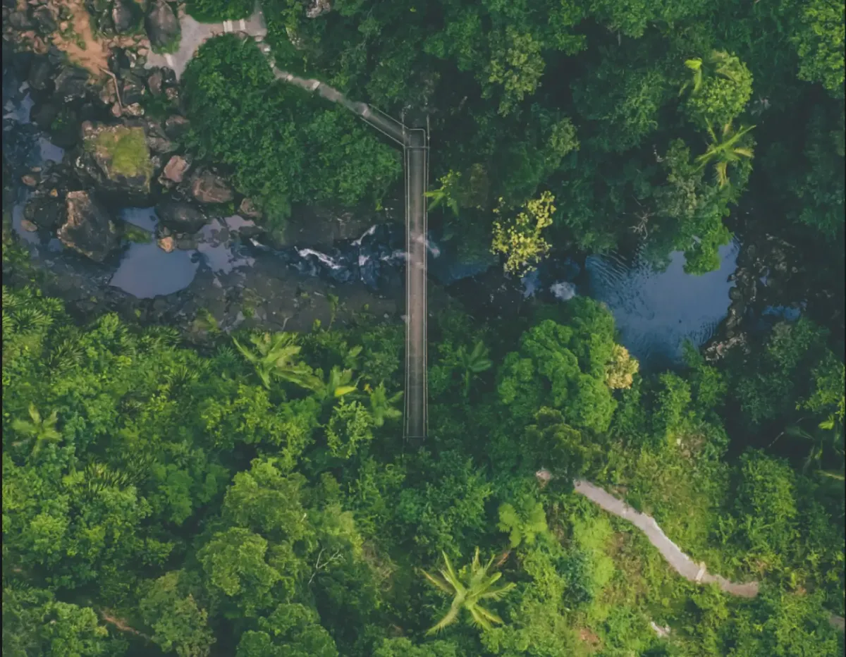 Top down drone shot of bridge over water in Queensland. 