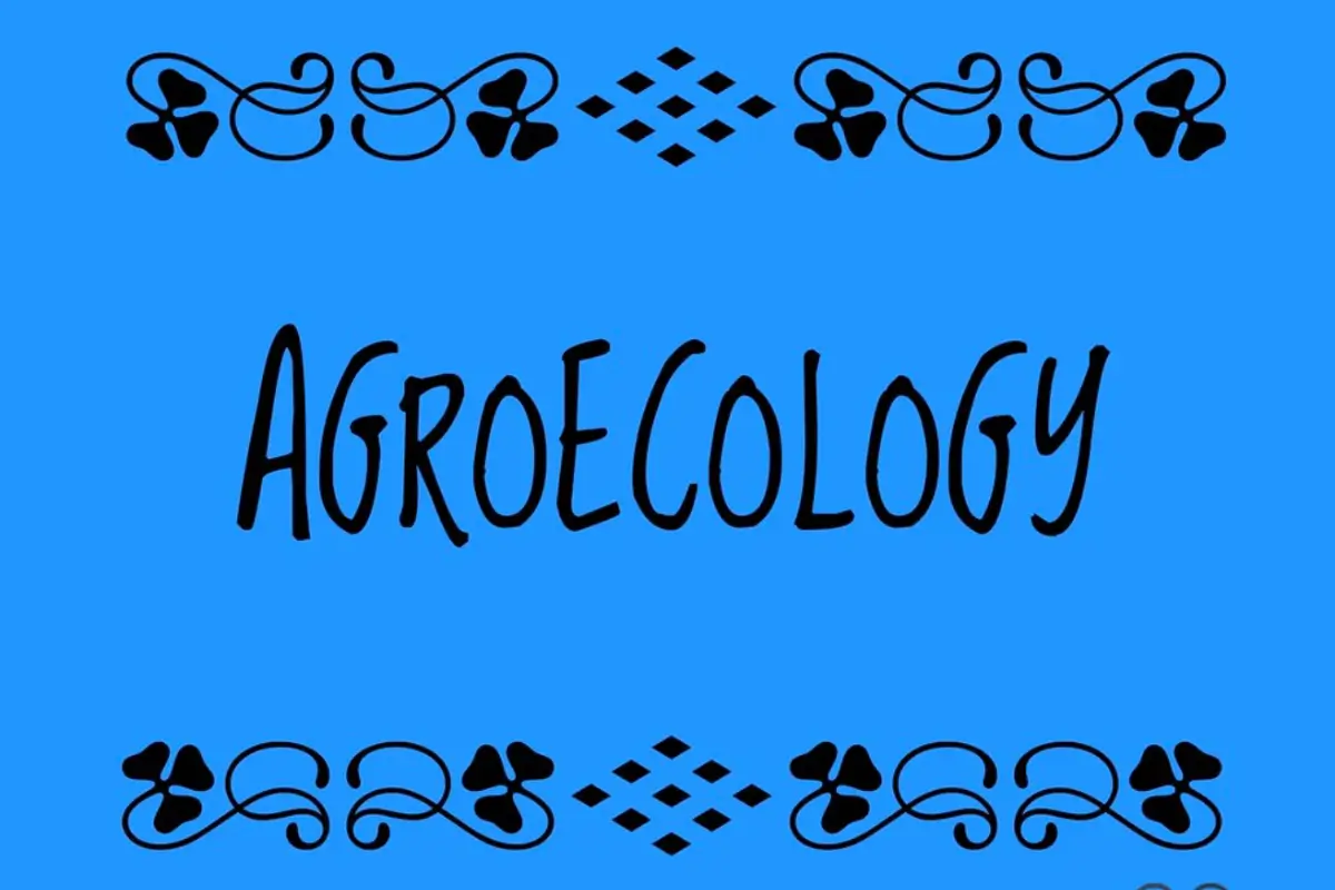 Agroeclogy!