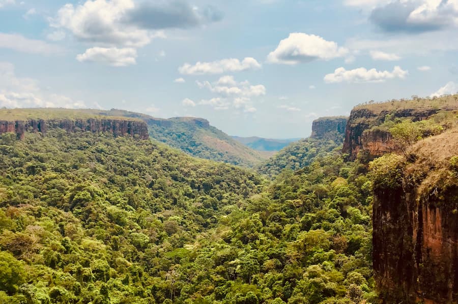 Chapada, Brazil. 