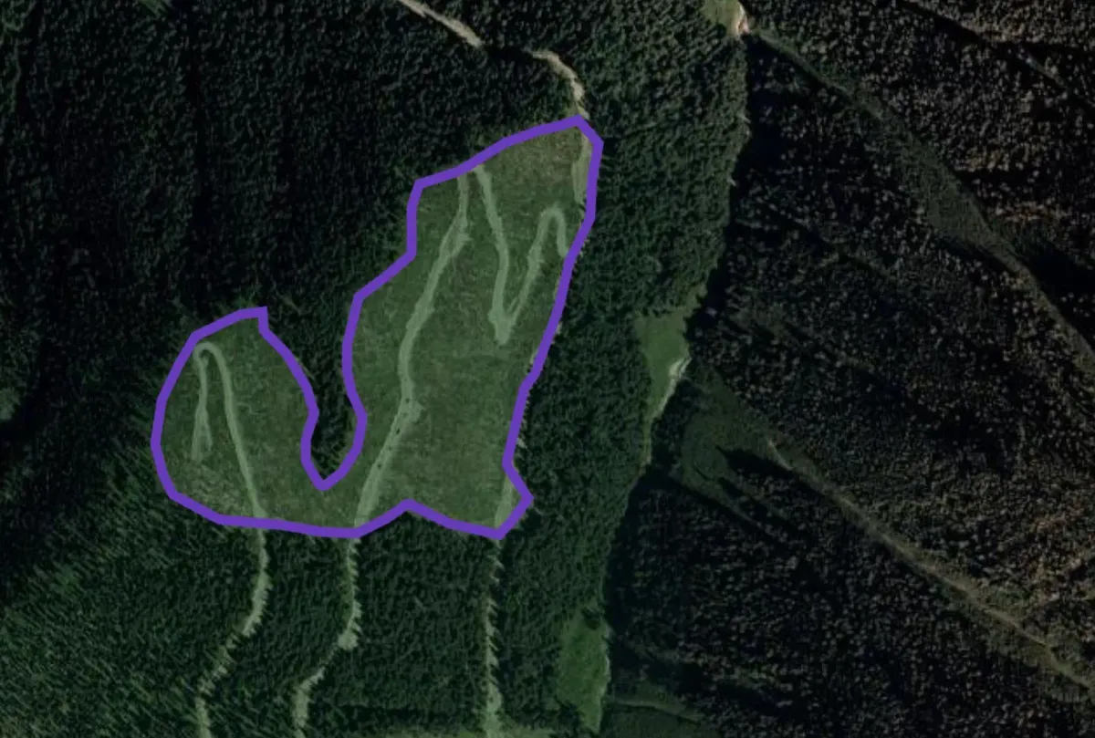 A polygon of a forest cut block in the mountains.