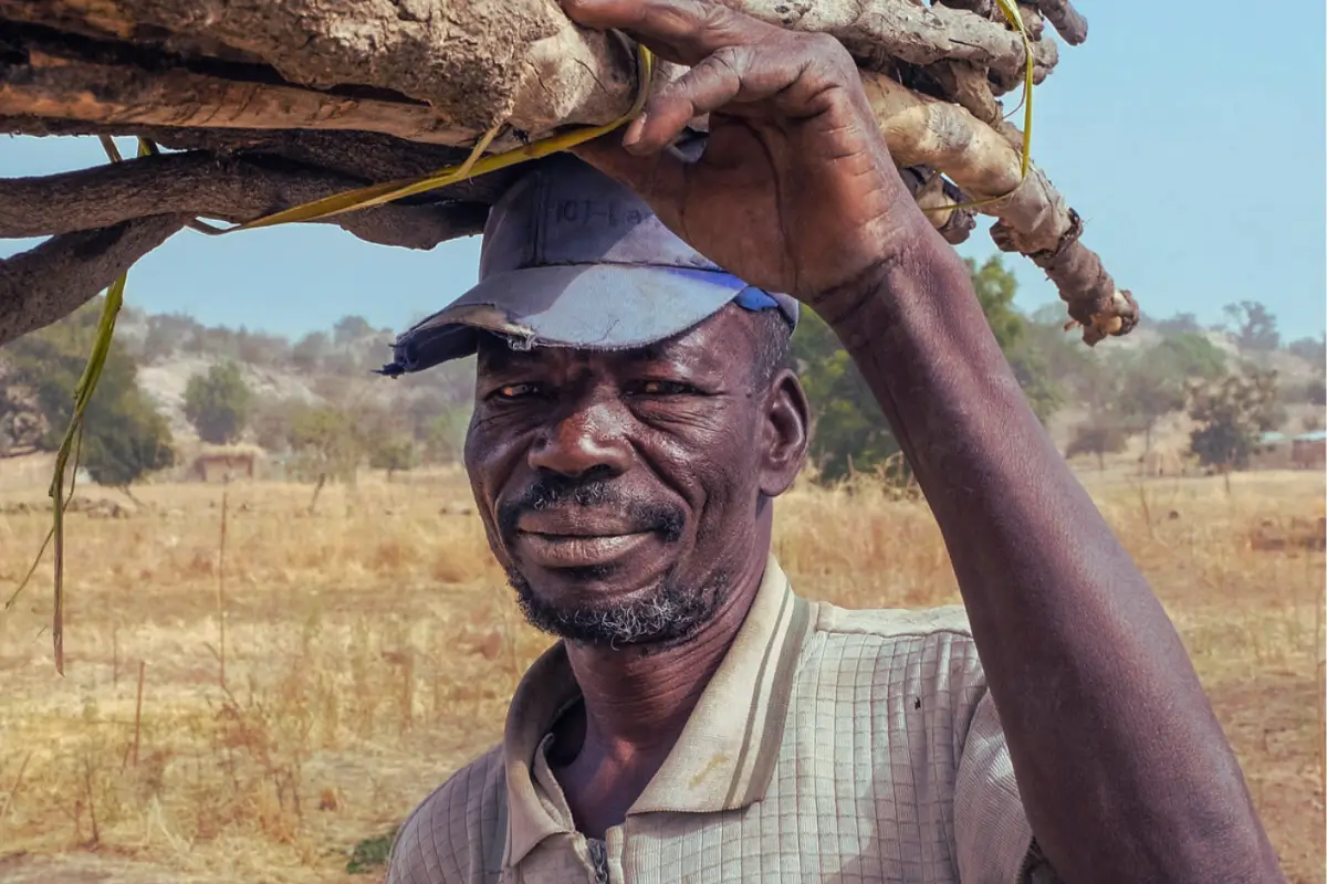 A farmer in Ghana gathers firewood to supplement his income. 