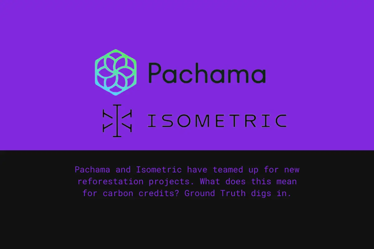 Pachama and Isometric logos on purple and black background.