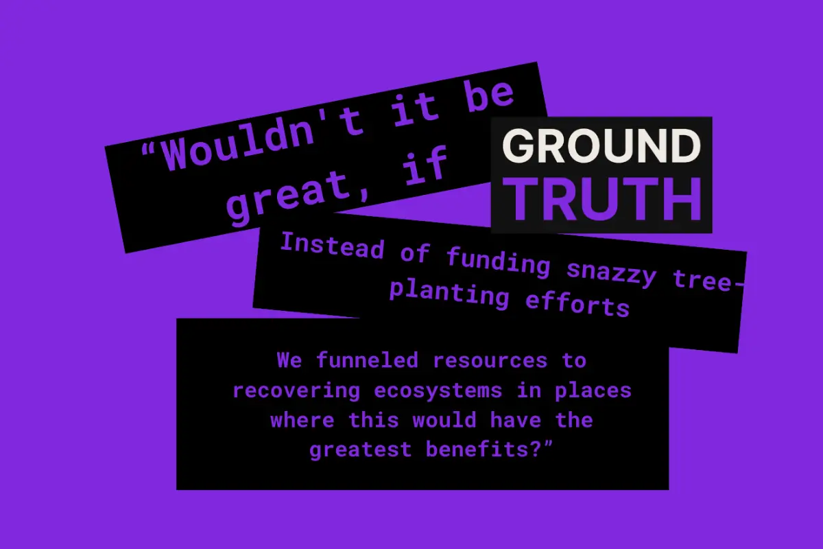 Cool Black purple font of Gianluca Cerullo quote about valueing biodiversity and carbon over tree planting.