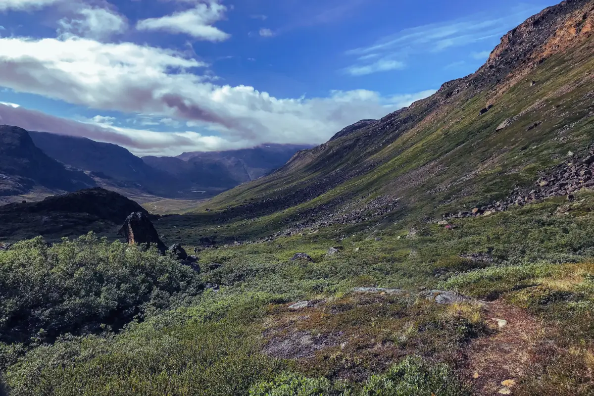 A view of a valley in Greenland with mountains in the background. 