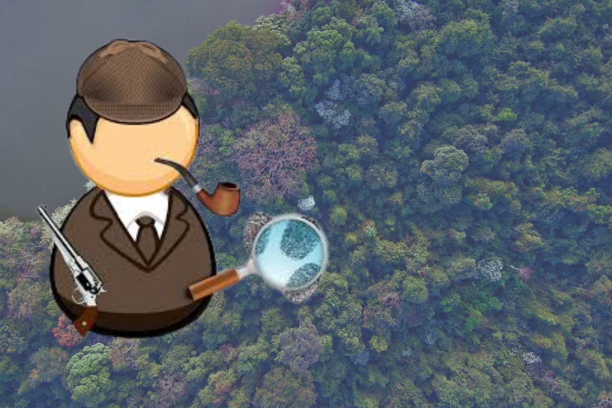 Cartoon detective investigates aerial view of Brazilian forest.