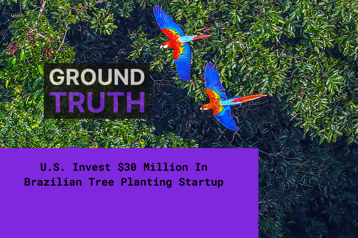 Ground Truth: Story summary on purple background over an image of the Amazon rainforest.