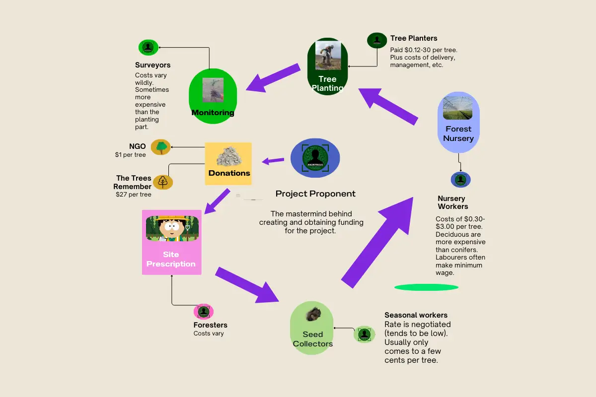 Infographic with  reforestation cost pipeline. 