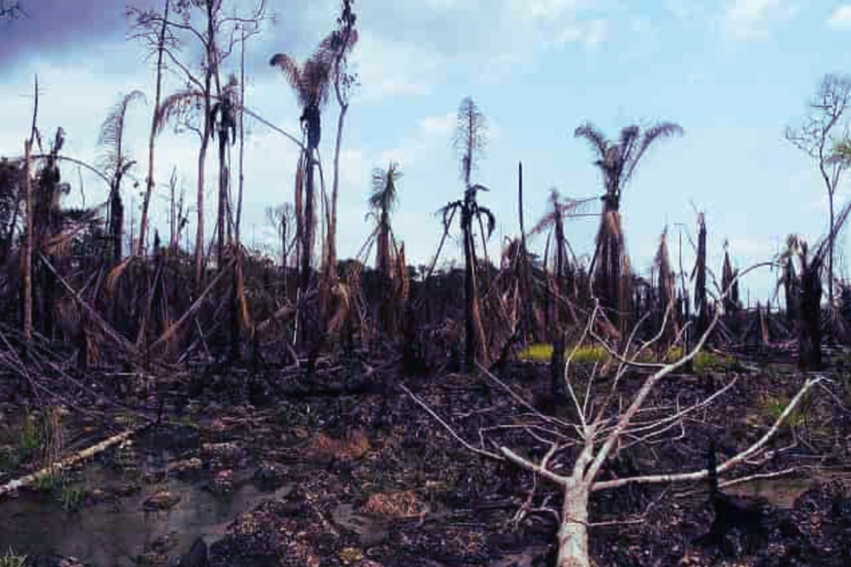 Image of Niger Delta oil disaster. 