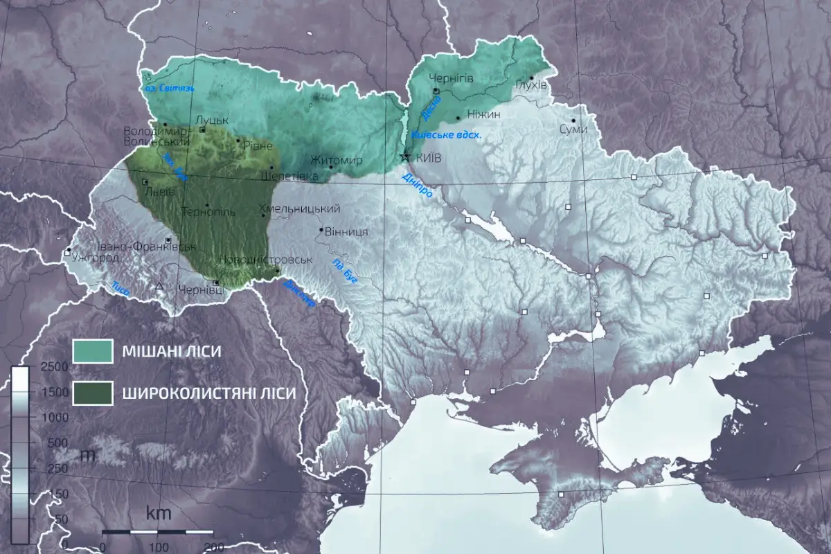 Map of Ukraine forests. 