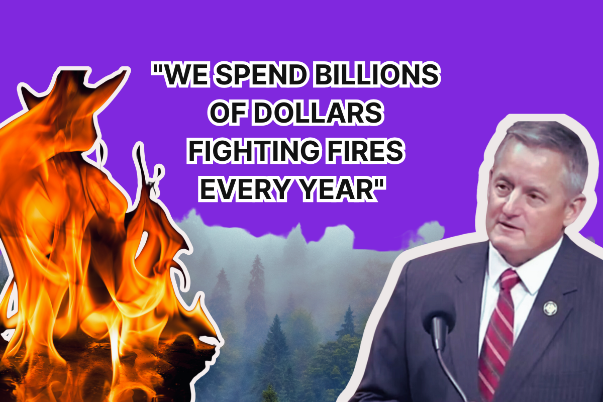 Joe Westerman on a purple backgroudn with images of fires and forests, and a quote. 