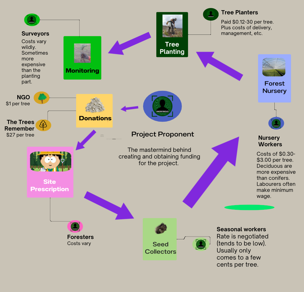 Infographic with  reforestation cost pipeline. 