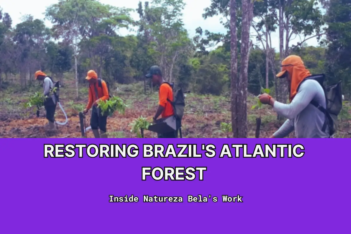 Four tree-planters on forest background. 