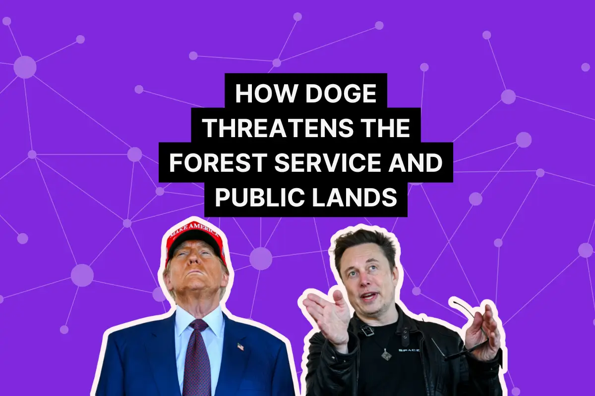 Title on purple background with Trump and Musk