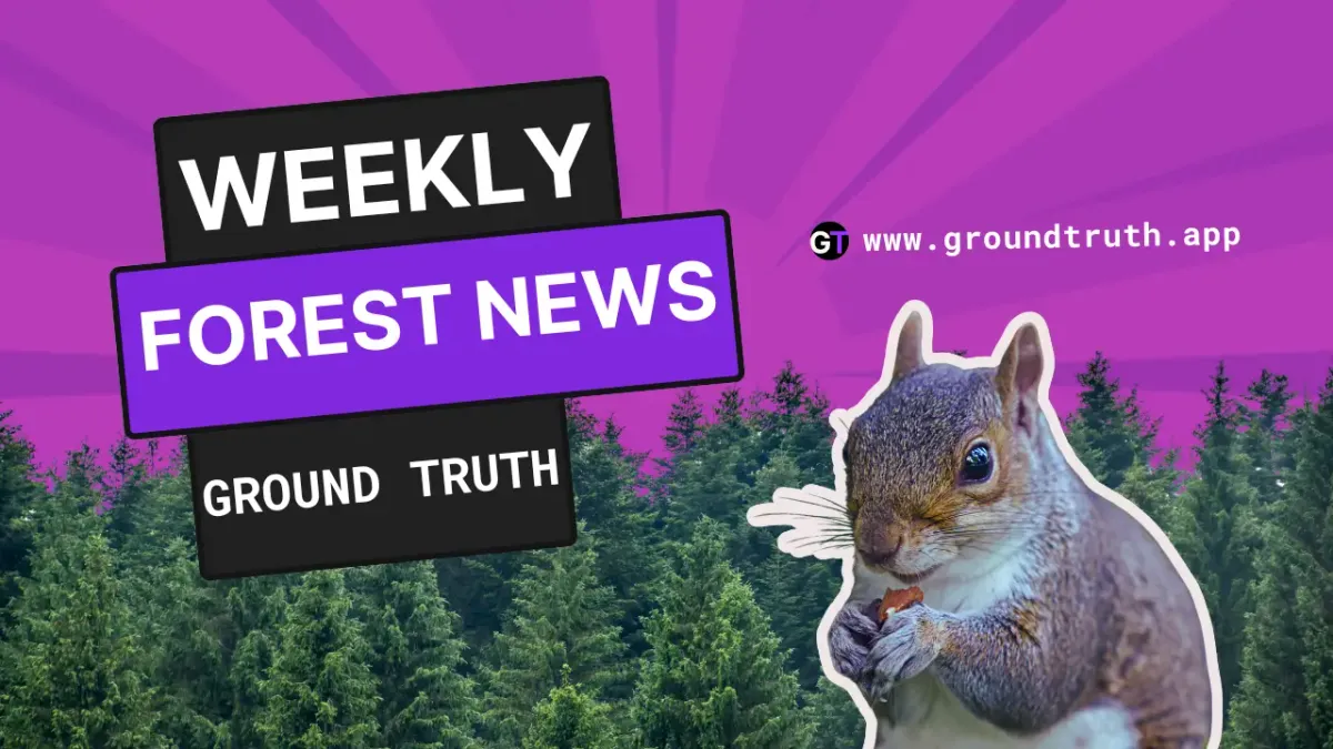 Title on purple background with forest and squirrel. 