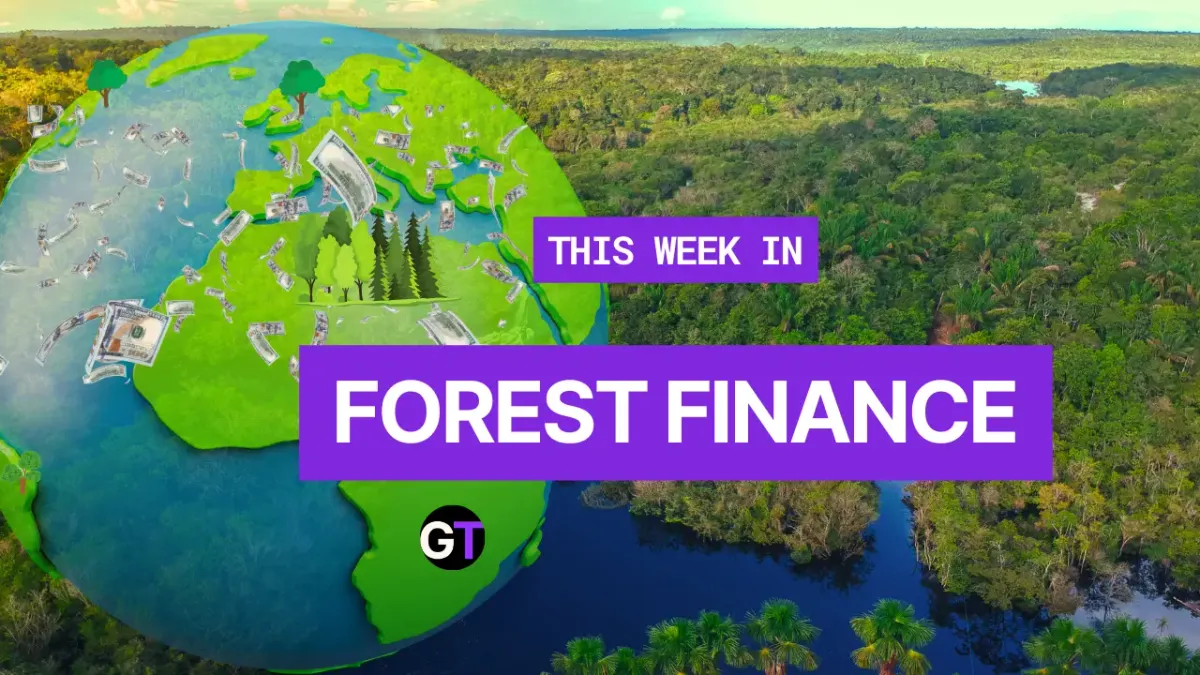 This Week In Forest Finance, March 13