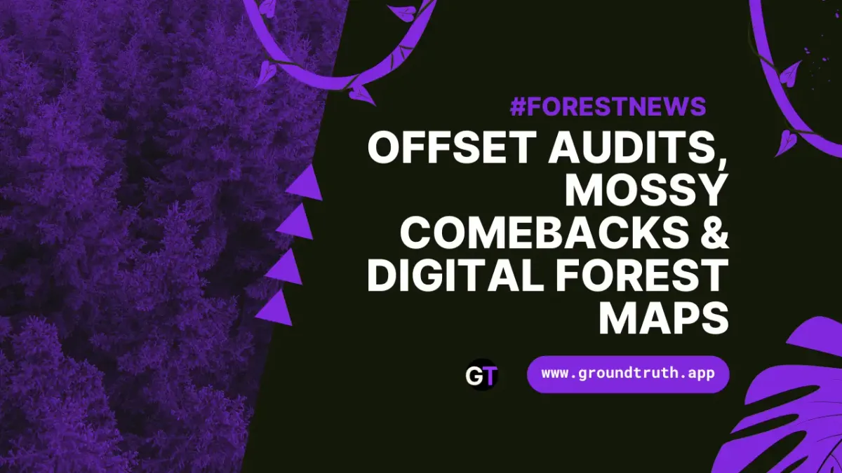 Title on black and purple background with forestry imagery. 