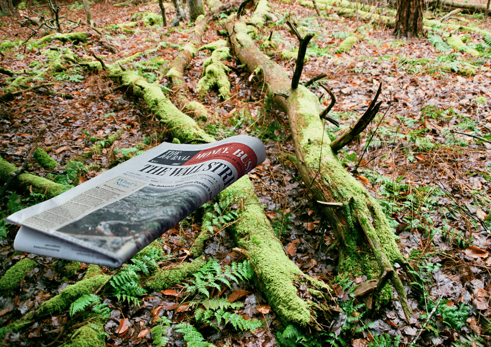 Weekly News Roundup October 17 📰🌍